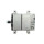 +Line Lichtmaschine für Freightliner 135A 19011177+