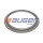 Ring, ABS passend für DAF ø169xø222x18 / Z=100