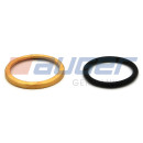 10x Scheibe und O-Ring Satz passend für DAF For M22x1,5
