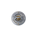 Thermostat passend für IVECO EuroCargo 91-