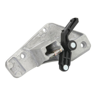 Türgriff, rechts passend für DAF XF 105 12.9D 10.05-