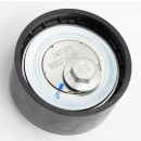 Generatorriemenrolle IVECO 5802716245