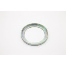 Rad-Hohlrad für Hinterachse IVECO 500322809