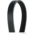 HERTH+BUSS JACOPARTS J1061115 Keilrippenriemen passend...