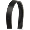 HERTH+BUSS JACOPARTS J1062220 Keilrippenriemen passend...