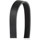 HERTH+BUSS JACOPARTS J1062270 Keilrippenriemen passend...