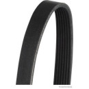 HERTH+BUSS JACOPARTS J1071815 Keilrippenriemen passend...