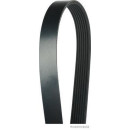 HERTH+BUSS JACOPARTS J1072270 Keilrippenriemen passend...