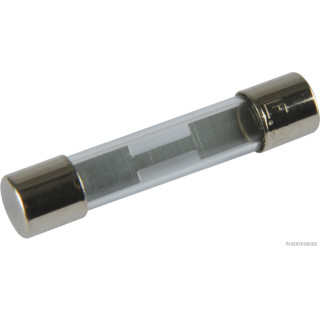 10x HERTH+BUSS ELPARTS 50295153 Sicherung Glas, F flink, 6,3 x 32mm, 20 A passend für Connect, MERCEDES-BENZ
