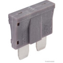 10x HERTH+BUSS ELPARTS 50295850 Sicherung Standard, 80 V,...