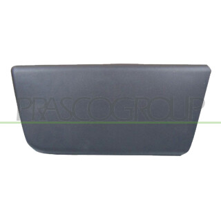 PRASCO FT9301404 Schutzleiste Türig vorne links-Lackiert passend für Citroen - Jumper