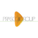 PRASCO FT9204139 Seitenblinkleuchte rechts/links, gelb,...