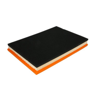 MANN-FILTER C 4019 Luftfilter
