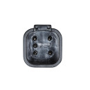 HELLA 2VP 343 640-081 Heckleuchte - Cargoluna - Glühlampe - 24V