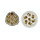 HELLA 8JB 003 834-001 Steckdose - 24V - 7-polig - Stecker: Schraubkontakt
