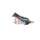 Elektrobauteil MAN +Kabel, AKS DASIS 268042X