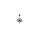 Glühlampe, Hauptscheinwerfer - Bosch 1 987 302 441 - 1987302441