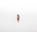 Düsenstock - Bosch 0 432 193 480 - 0432193480