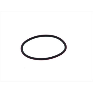 Dichtring - Bosch F 00H N35 932 - F00HN35932