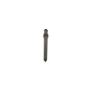 Düsenstock - Bosch F 00R J01 029 - F00RJ01029
