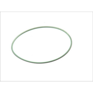 Dichtring - Bosch F 00N 201 204 - F00N201204