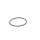 Dichtring - Bosch F 00N 201 306 - F00N201306