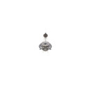 Glühlampe, Hauptscheinwerfer - Bosch 1 987 302 742 -...