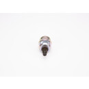 Kraftstoffpumpenelement Elektromagnet - Bosch F 002 D13 641 - F002D13641
