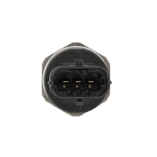Sensor, Kraftstoffdruck - Bosch 0 281 007 303 - 0281007303