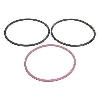 Dichtungssatz, Zylinderlaufbuchse - ELRING 308.930