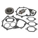Reparatursatz, Wasserpumpe - THERMOTEC WP-MN118RK