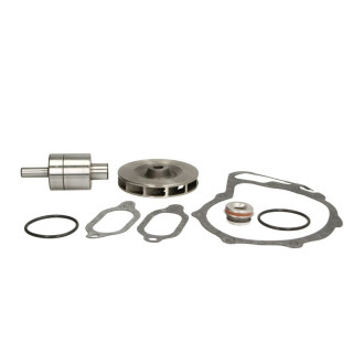 Reparatursatz, Wasserpumpe - THERMOTEC WP-ME117RK