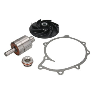 Reparatursatz, Wasserpumpe - THERMOTEC WP-MN131RK