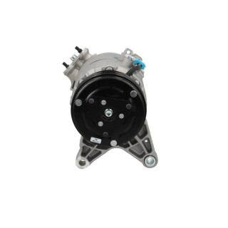 Delphi New Klimakompressor passend für Chevrolet CS10076-11B1