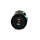 Denso New Klimakompressor passend für FIAT Palio, Palio Weekend, Siena, Strada Pick Up DCP09014