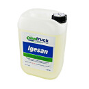 Igesan - CleanTruck 2026