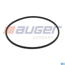 O-Ring  passend für IVECO