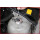 BMW-Sturzeinstellwerkzeug-Satz, 2-tlg - KS Tools 150.1820
