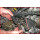 1/2" Diesel-Injektoren-Stecknuss 12-kant, 28mm - KS Tools 455.0031
