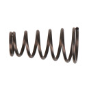 Drosselventilfeder - KS Tools 515.5410-R022P