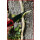 Klappmesser mit Arretierung und Gurtschneider - KS Tools 907.2220
