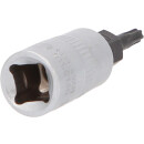 1/4" Bit-Stecknuss TorxPlus, IP10 - KS Tools 911.3146