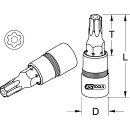 3/8" Bit-Stecknuss TorxPlus mit Stirnlochbohrung,...