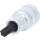1/2" Bit-Stecknuss für RIBE®-Schrauben, kurz, M8 - KS Tools 911.9404
