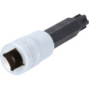 1/2" Bit-Stecknuss für RIBE®-Schrauben,...