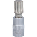 1/4" Bit-Stecknuss XZN, M10 - KS Tools 917.1546
