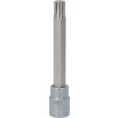 3/8" Bit-Stecknuss für RIBE-Schrauben, M10, 100...