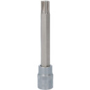 3/8" Bit-Stecknuss für RIBE-Schrauben, M10, 100...