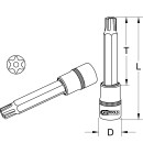 1/2" CHROMEplus Bit-Stecknuss RIBE mit...