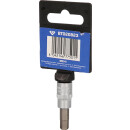 1/4" Innensechskant Bit-Stecknuss, 6 mm - Brilliant Tools BT020823